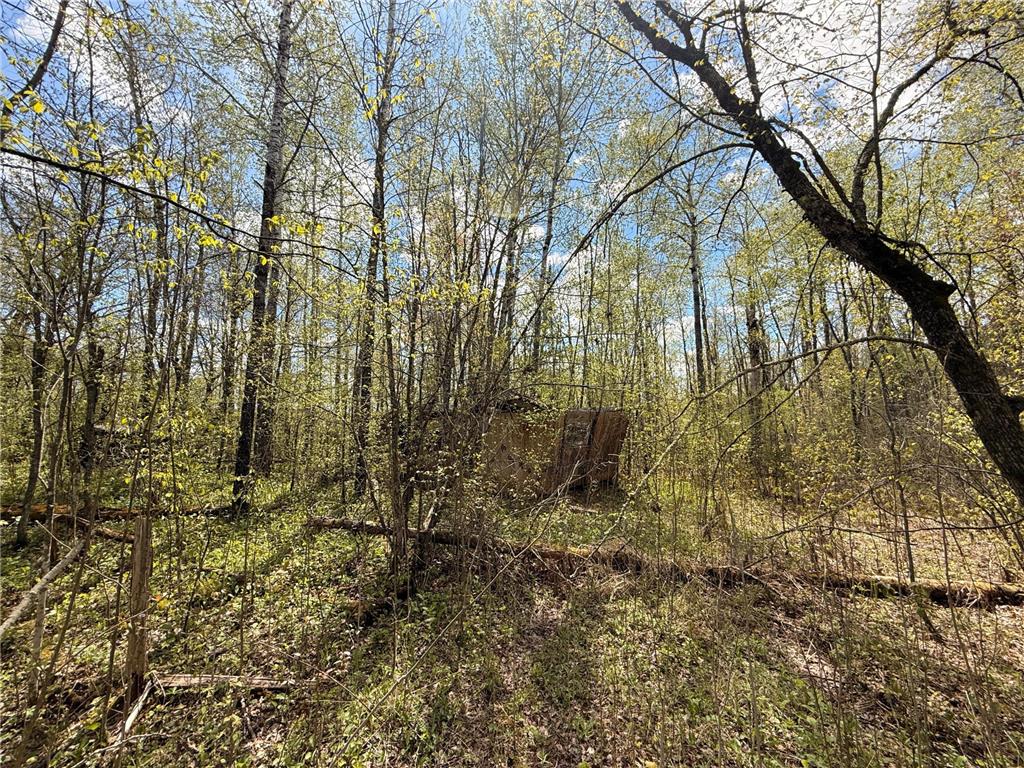 3854 Rasmussen Rd. Wright MN 55798 - Prairie River 7070634 image17