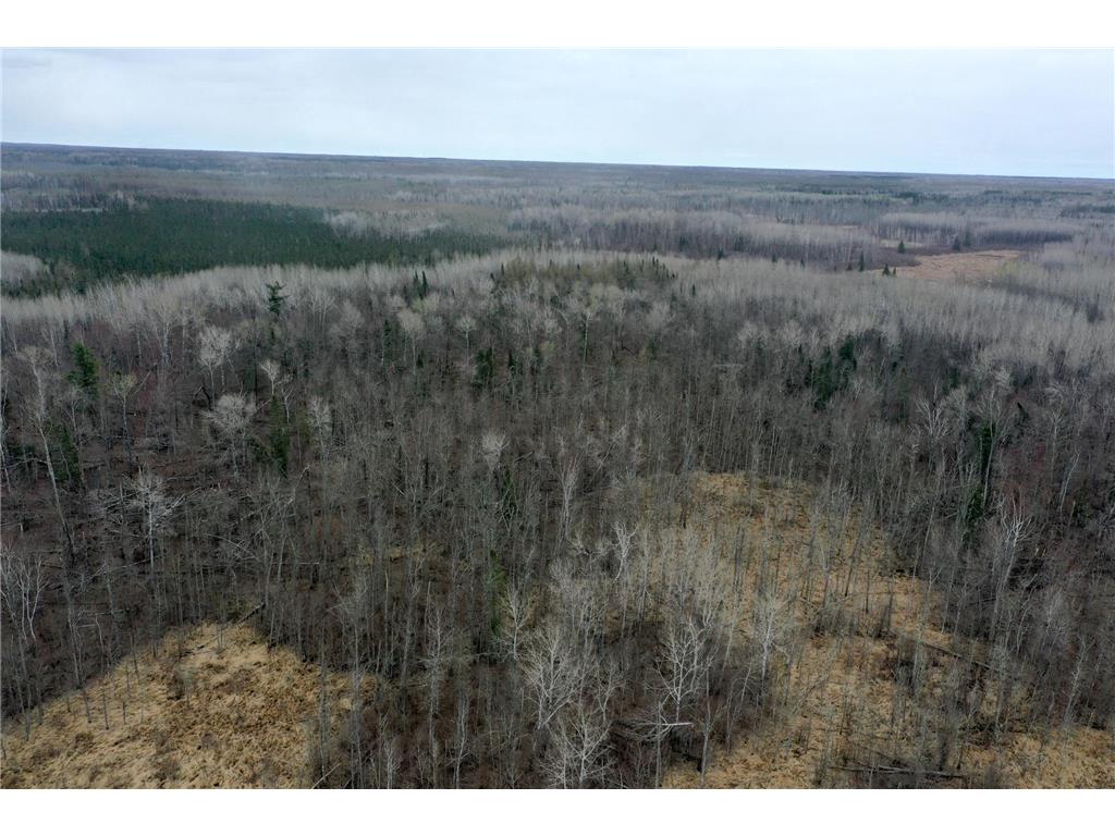 3854 Rasmussen Rd. Wright MN 55798 - Prairie River 7070634 image33