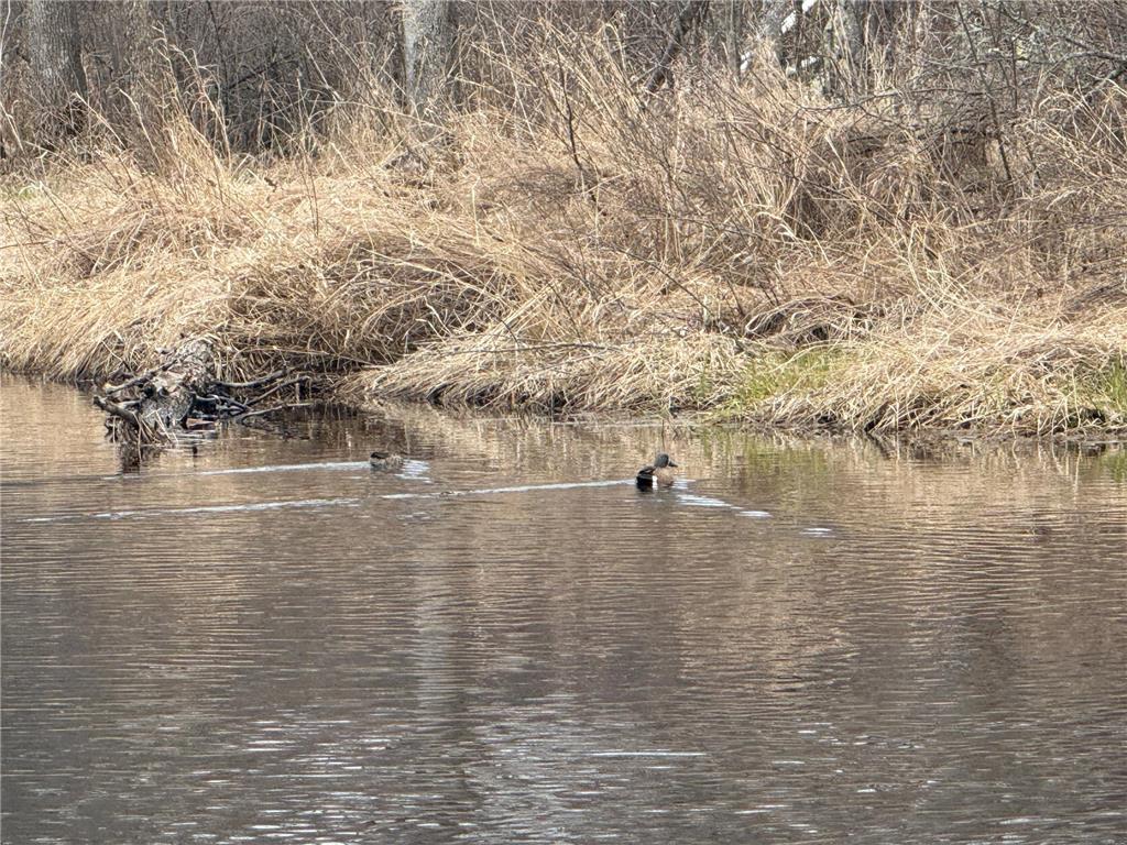 3854 Rasmussen Rd. Wright MN 55798 - Prairie River 7070634 image38