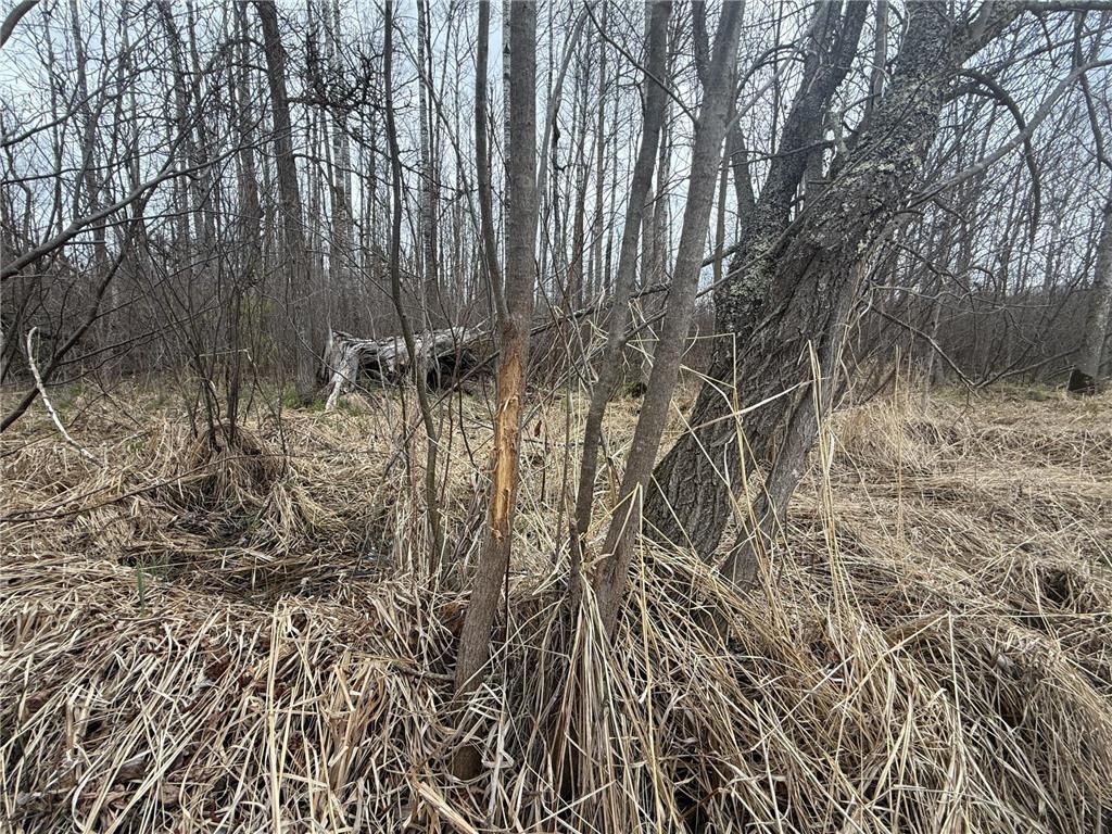 3854 Rasmussen Rd. Wright MN 55798 - Prairie River 7070634 image39