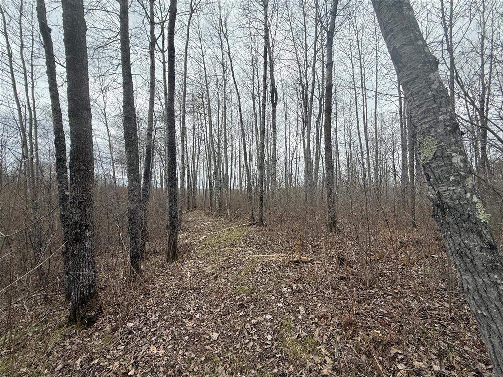 3854 Rasmussen Rd. Wright MN 55798 - Prairie River 7070634 image40