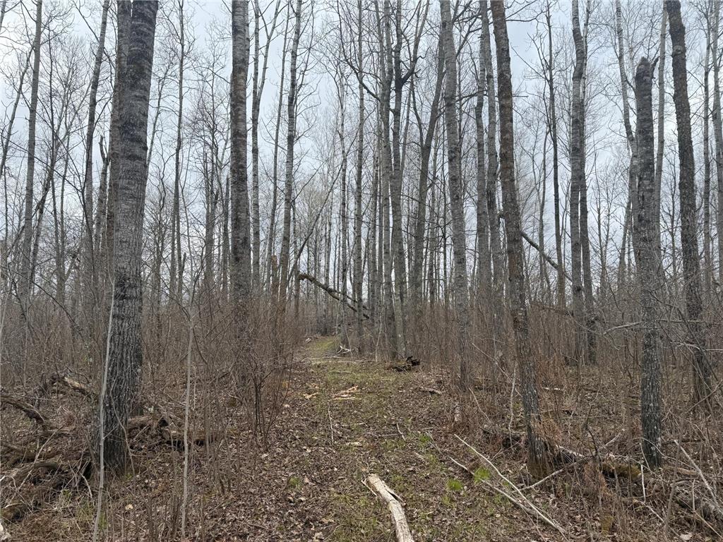 3854 Rasmussen Rd. Wright MN 55798 - Prairie River 7070634 image41