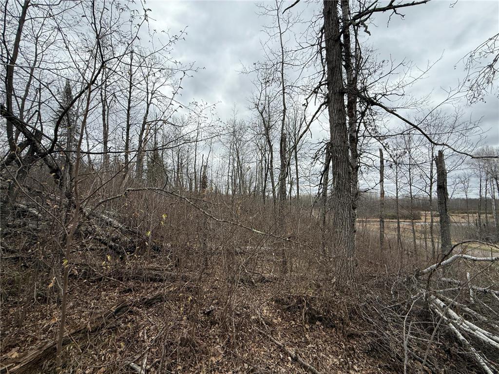 3854 Rasmussen Rd. Wright MN 55798 - Prairie River 7070634 image45
