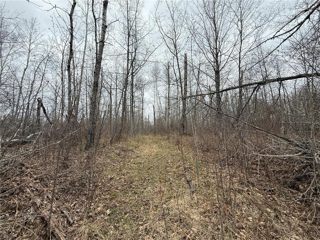 3854 Rasmussen Rd. Wright MN 55798 - Prairie River 7070634 image46