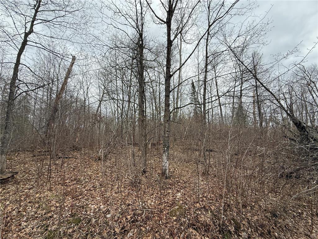 3854 Rasmussen Rd. Wright MN 55798 - Prairie River 7070634 image47