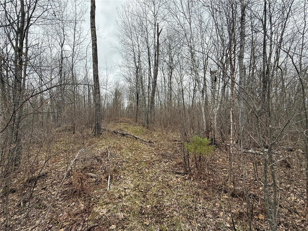 3854 Rasmussen Rd. Wright MN 55798 - Prairie River 7070634 image48