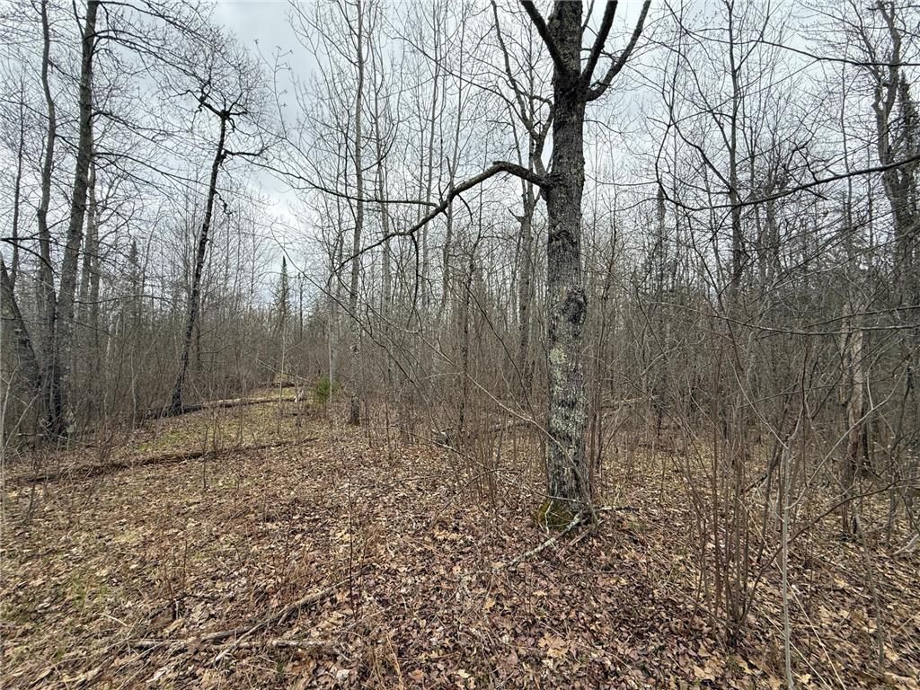 3854 Rasmussen Rd. Wright MN 55798 - Prairie River 7070634 image50