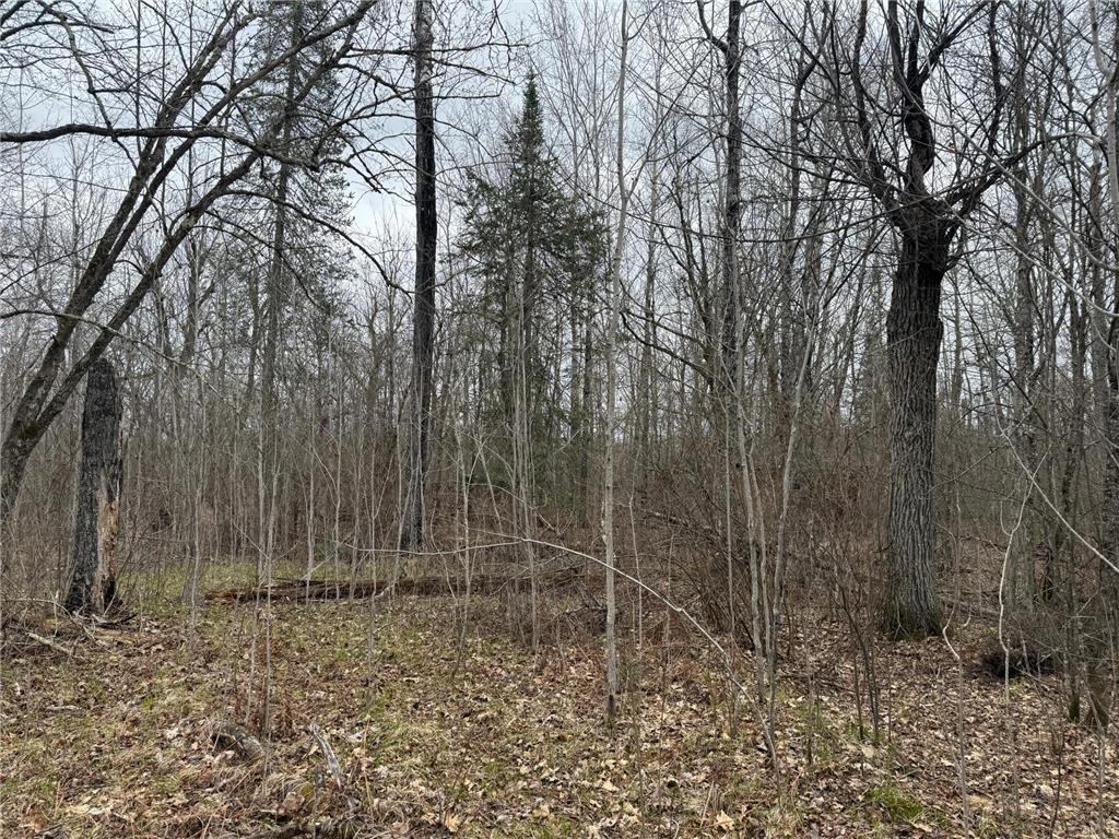 3854 Rasmussen Rd. Wright MN 55798 - Prairie River 7070634 image52