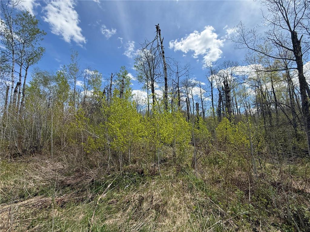 3854 Rasmussen Rd. Wright MN 55798 - Prairie River 7070634 image6