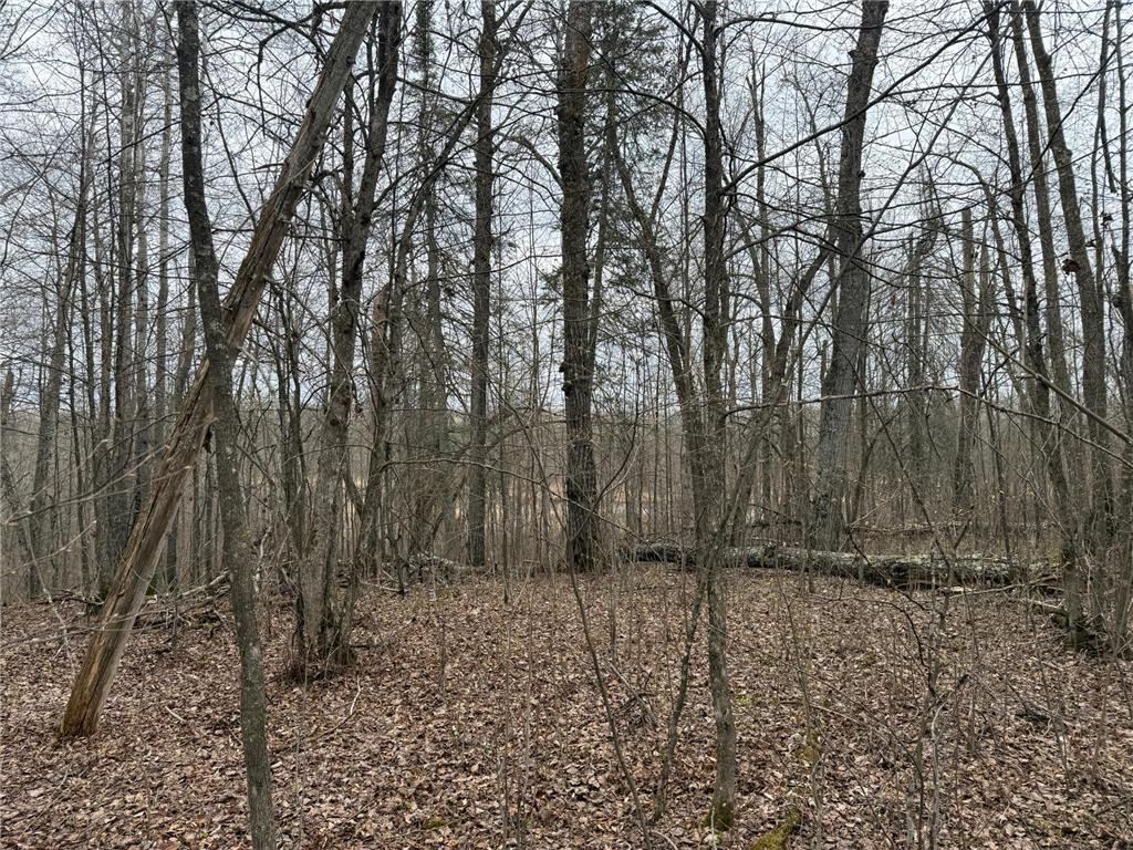 3854 Rasmussen Rd. Wright MN 55798 - Prairie River 7070634 image61