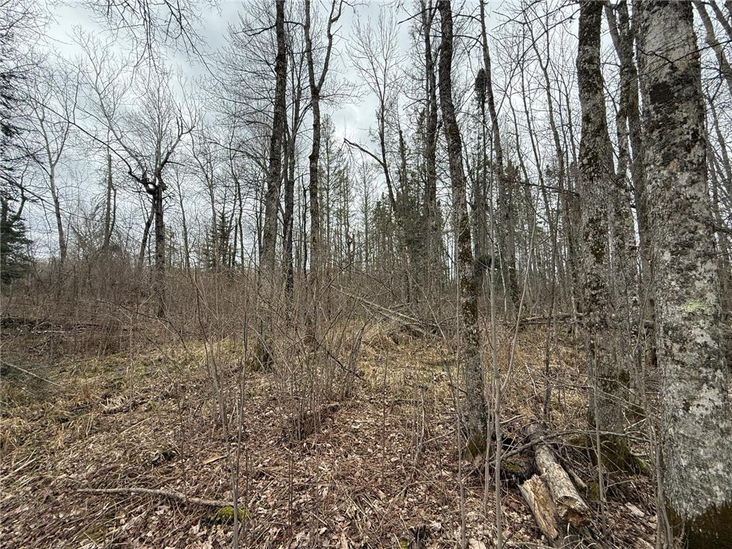 3854 Rasmussen Rd. Wright MN 55798 - Prairie River 7070634 image62