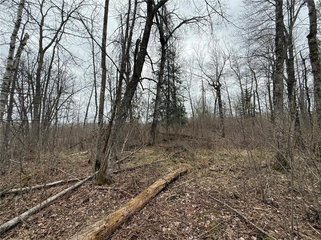 3854 Rasmussen Rd. Wright MN 55798 - Prairie River 7070634 image63