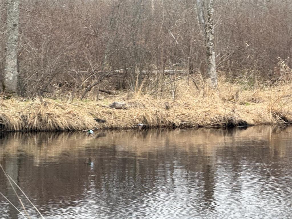 3854 Rasmussen Rd. Wright MN 55798 - Prairie River 7070634 image71