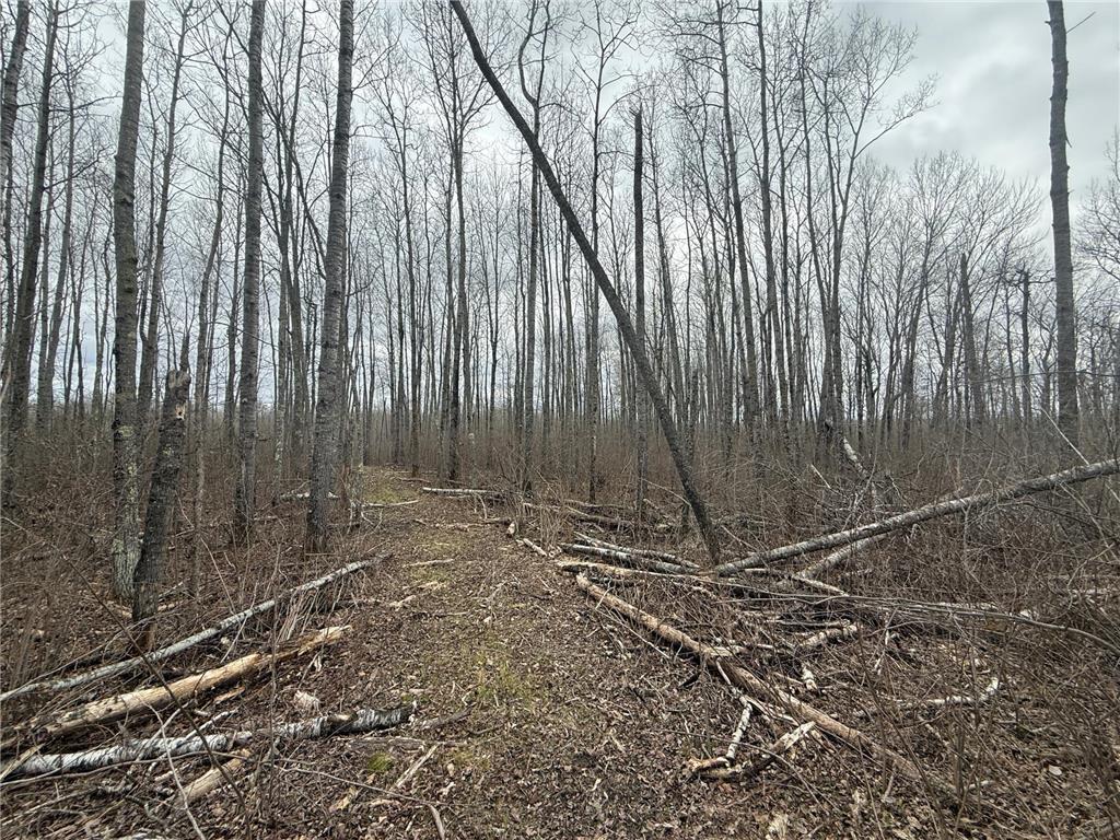 3854 Rasmussen Rd. Wright MN 55798 - Prairie River 7070634 image76
