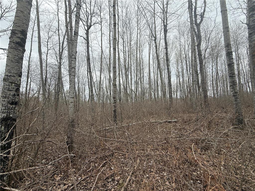 3854 Rasmussen Rd. Wright MN 55798 - Prairie River 7070634 image77