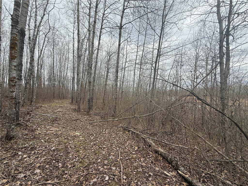 3854 Rasmussen Rd. Wright MN 55798 - Prairie River 7070634 image78