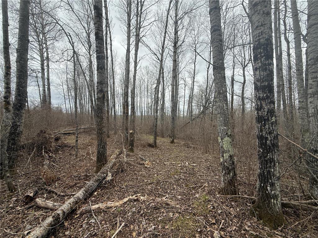 3854 Rasmussen Rd. Wright MN 55798 - Prairie River 7070634 image79