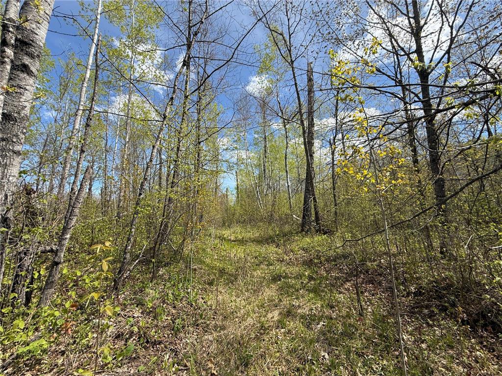 3854 Rasmussen Rd. Wright MN 55798 - Prairie River 7070634 image8