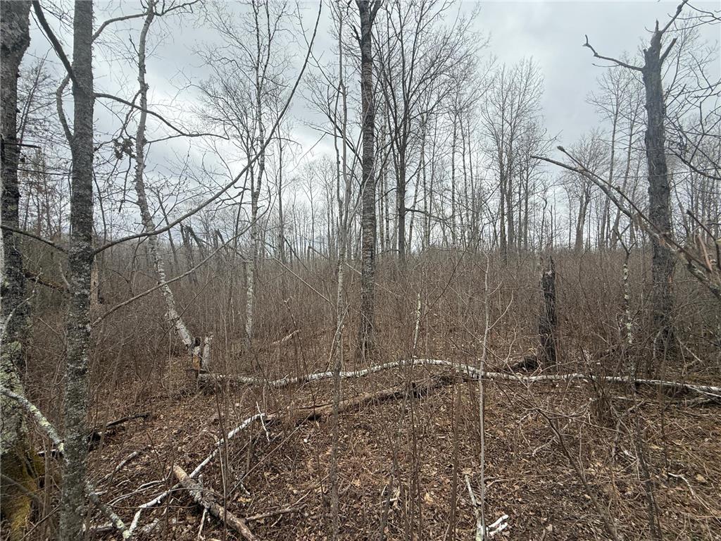 3854 Rasmussen Rd. Wright MN 55798 - Prairie River 7070634 image80