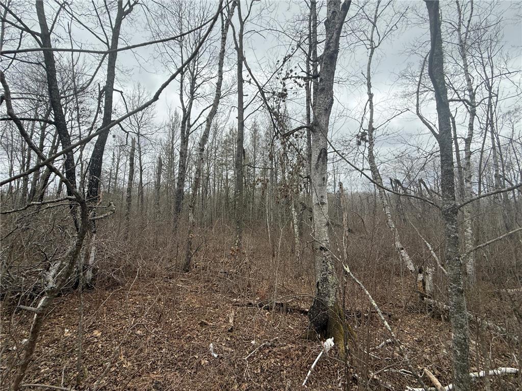 3854 Rasmussen Rd. Wright MN 55798 - Prairie River 7070634 image81