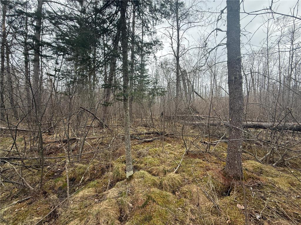 3854 Rasmussen Rd. Wright MN 55798 - Prairie River 7070634 image82