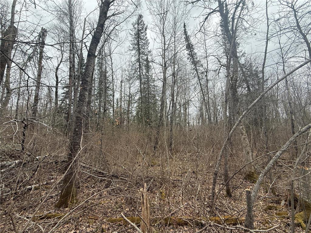 3854 Rasmussen Rd. Wright MN 55798 - Prairie River 7070634 image83