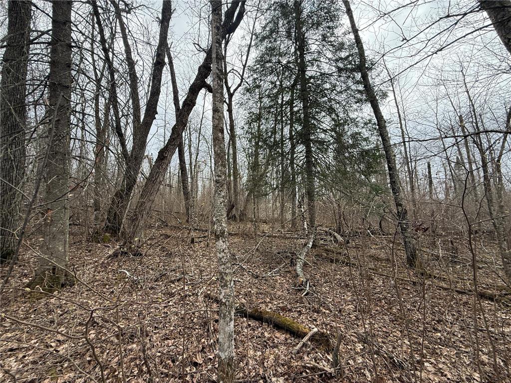 3854 Rasmussen Rd. Wright MN 55798 - Prairie River 7070634 image84