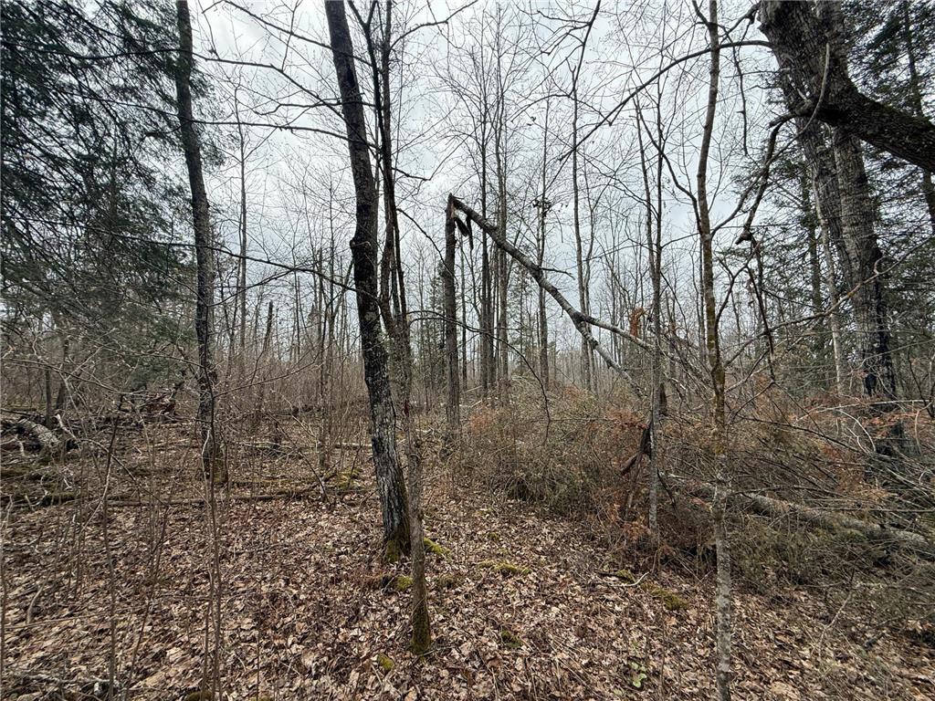 3854 Rasmussen Rd. Wright MN 55798 - Prairie River 7070634 image85