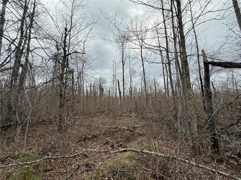 3854 Rasmussen Rd. Wright MN 55798 - Prairie River 7070634 image86