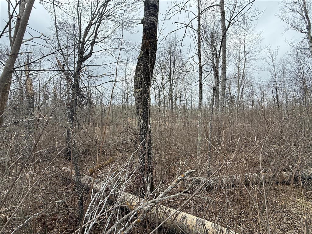 3854 Rasmussen Rd. Wright MN 55798 - Prairie River 7070634 image87