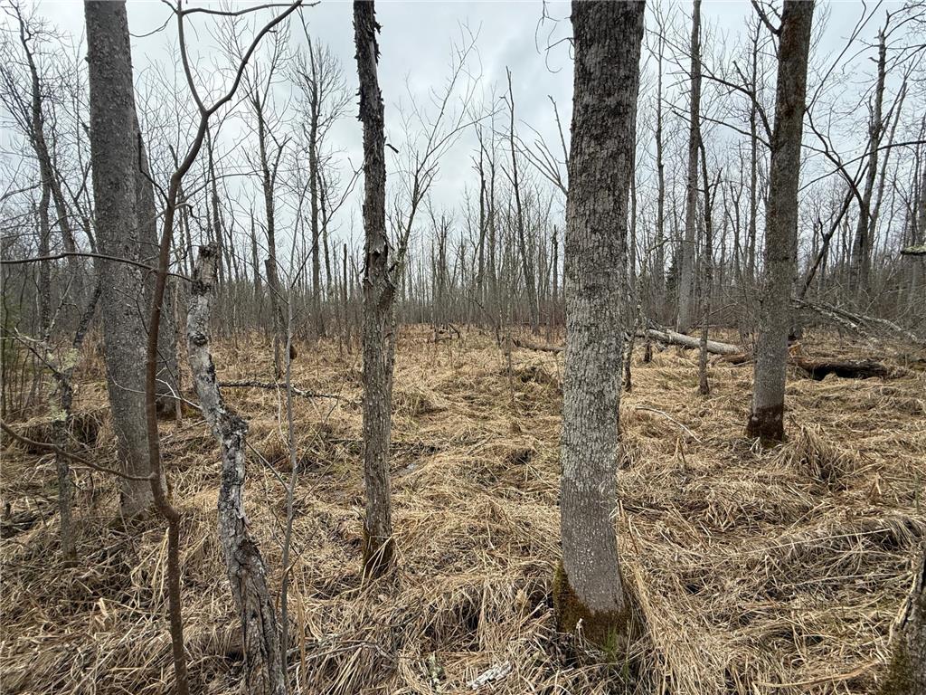 3854 Rasmussen Rd. Wright MN 55798 - Prairie River 7070634 image89