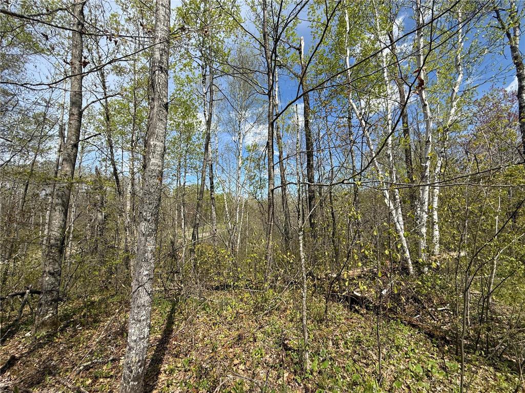 3854 Rasmussen Rd. Wright MN 55798 - Prairie River 7070634 image9