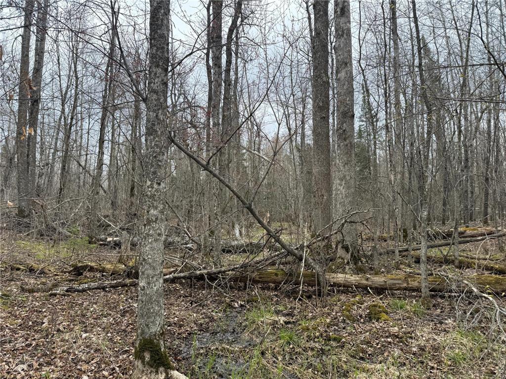 3854 Rasmussen Rd. Wright MN 55798 - Prairie River 7070634 image91