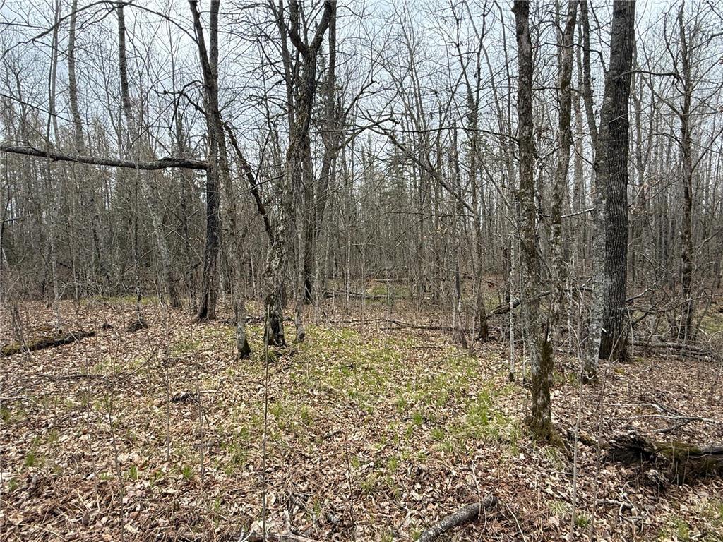 3854 Rasmussen Rd. Wright MN 55798 - Prairie River 7070634 image94