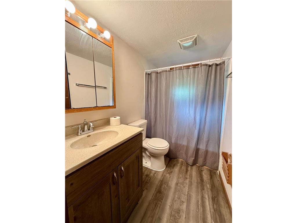 386 Dreamwald Boulevard Zumbro Falls MN 55991 7069587 image11