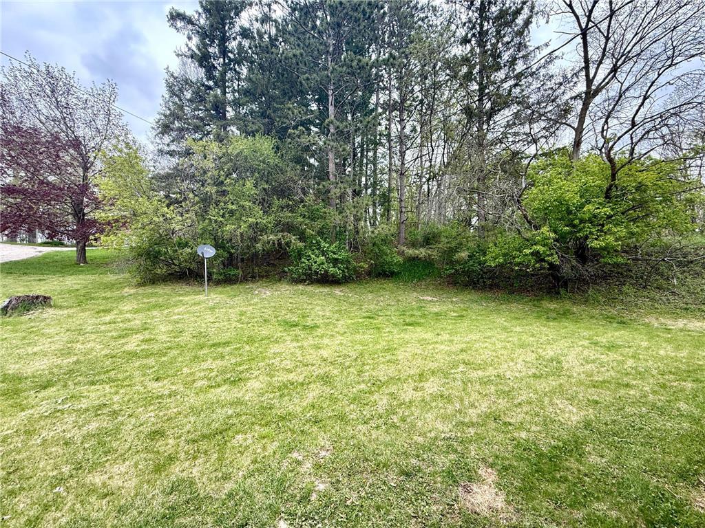 386 Dreamwald Boulevard Zumbro Falls MN 55991 7069587 image21