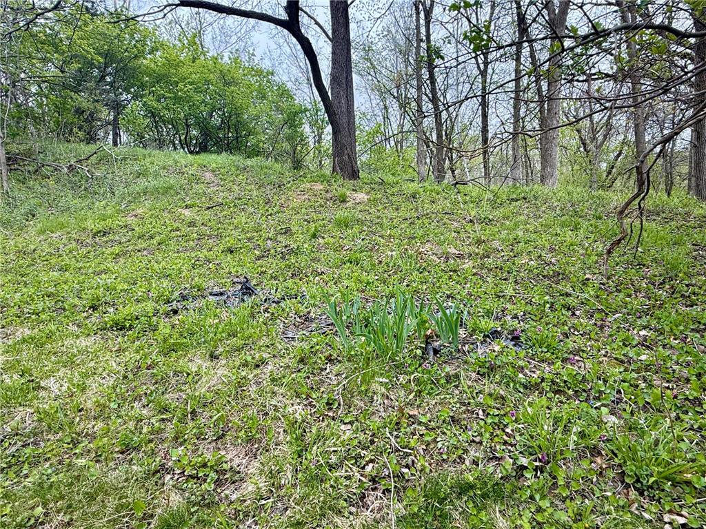 386 Dreamwald Boulevard Zumbro Falls MN 55991 7069587 image22