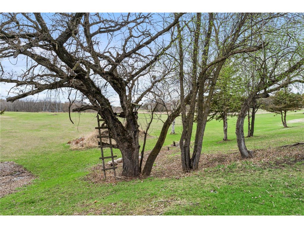 38621 July Avenue North Branch MN 55056 - Sunrise River 6812469 image75