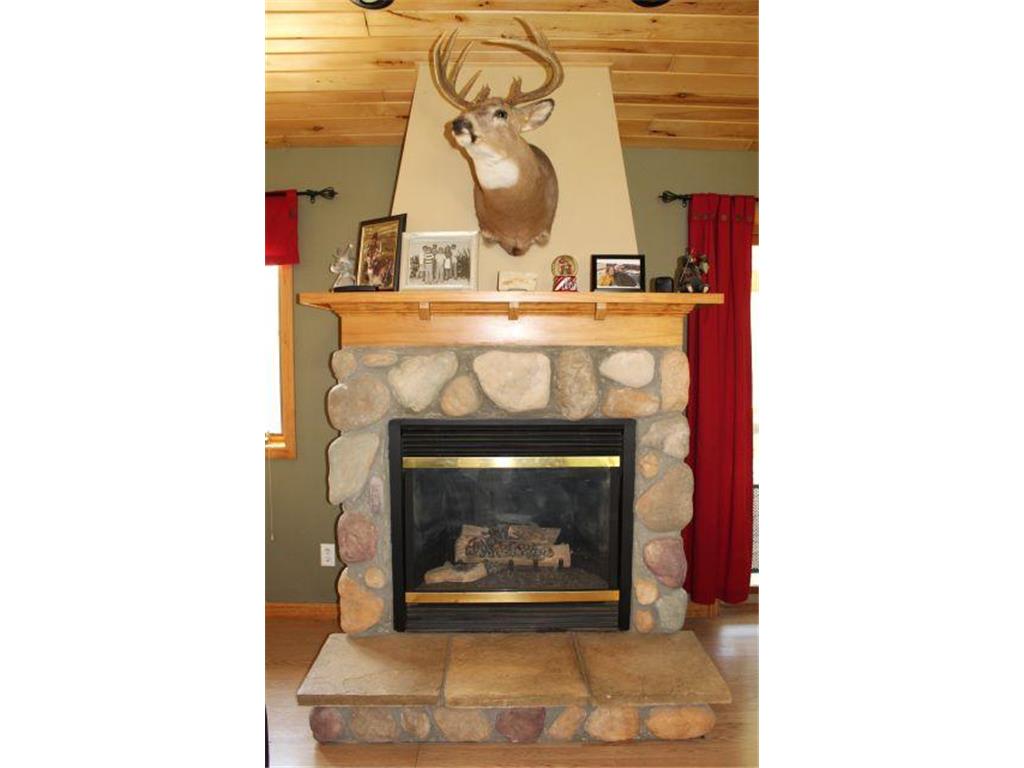 38626 496th Lane Palisade MN 56469 7079302 image14