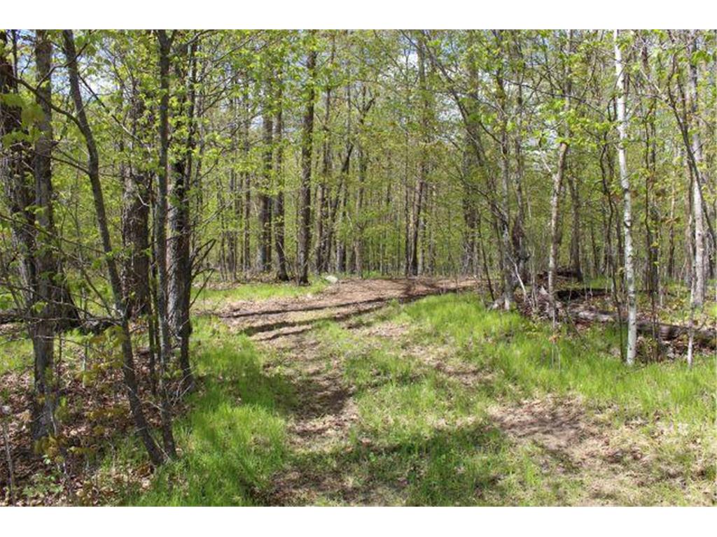 38626 496th Lane Palisade MN 56469 7079302 image27