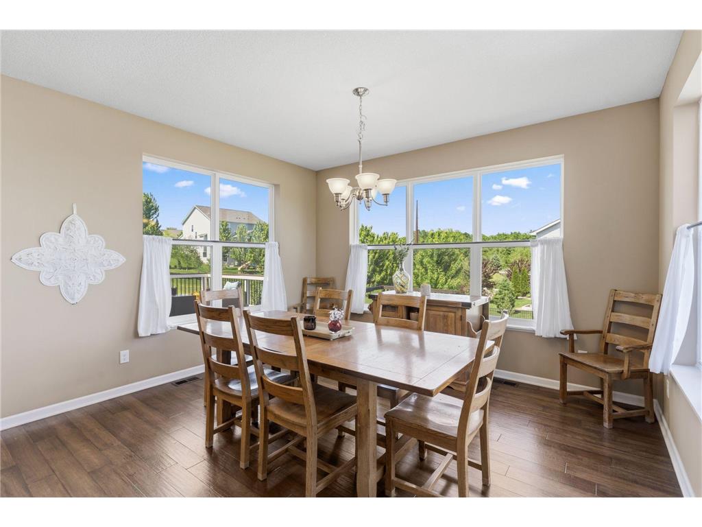 3863 Founders Path Chaska MN 55318 7080579 image14