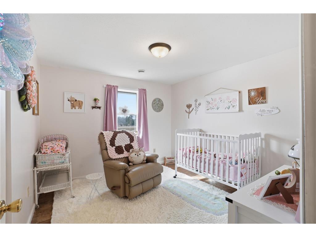 38630 Woodview Lane Le Center MN 56057 7006931 image19