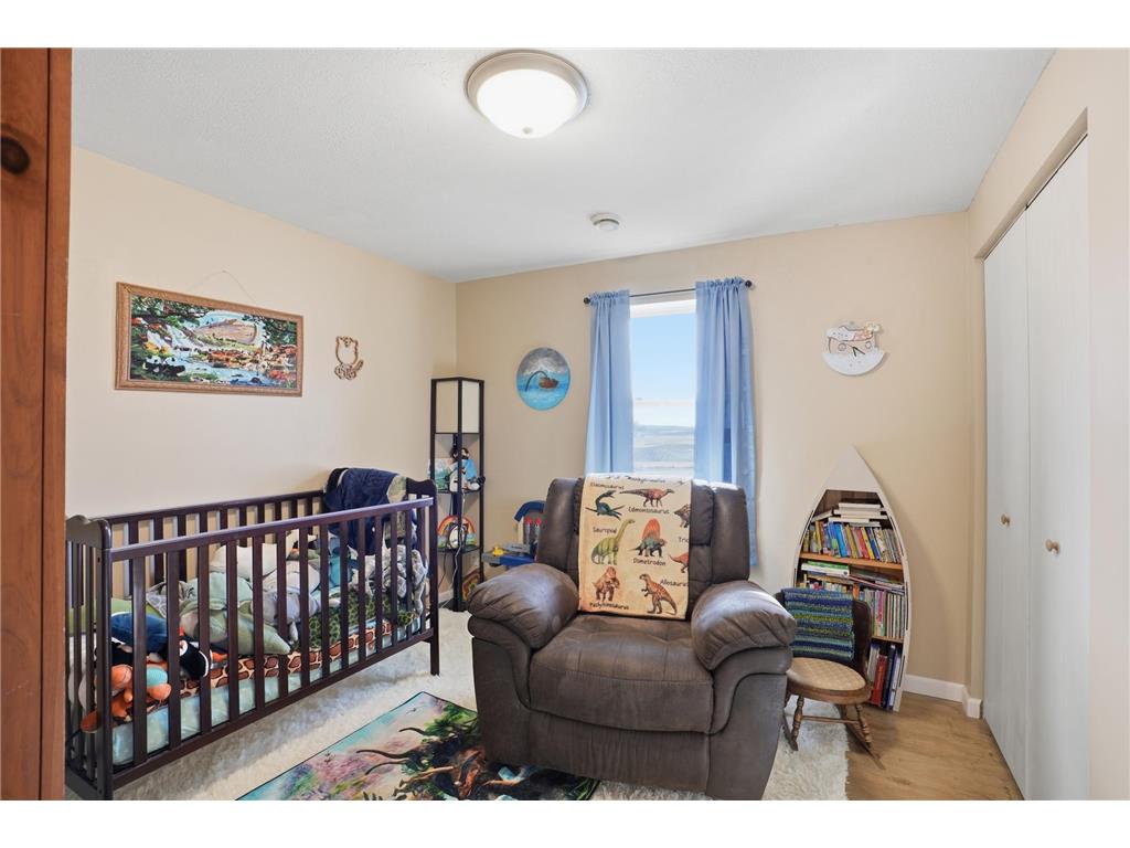 38630 Woodview Lane Le Center MN 56057 7006931 image22