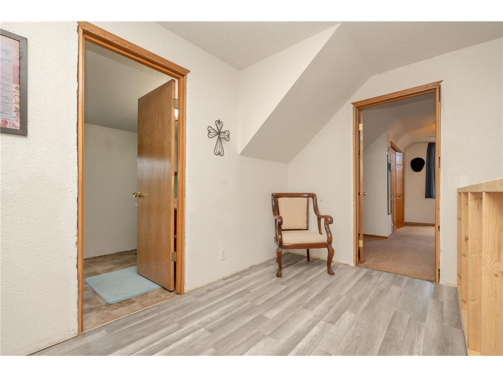 38653 Woodview Circle Lexington Twp MN 56057 7098399 image21