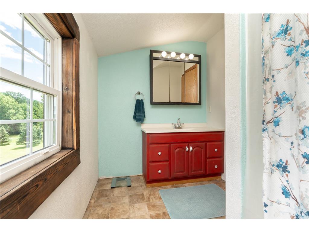 38653 Woodview Circle Lexington Twp MN 56057 7098399 image26