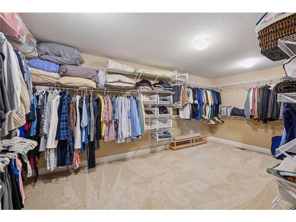 3866 Founders Path Chaska MN 55318 6783856 image22