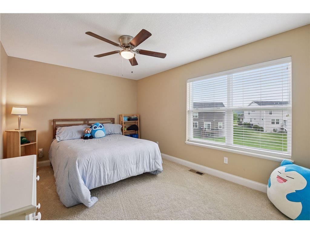 3866 Founders Path Chaska MN 55318 6783856 image29