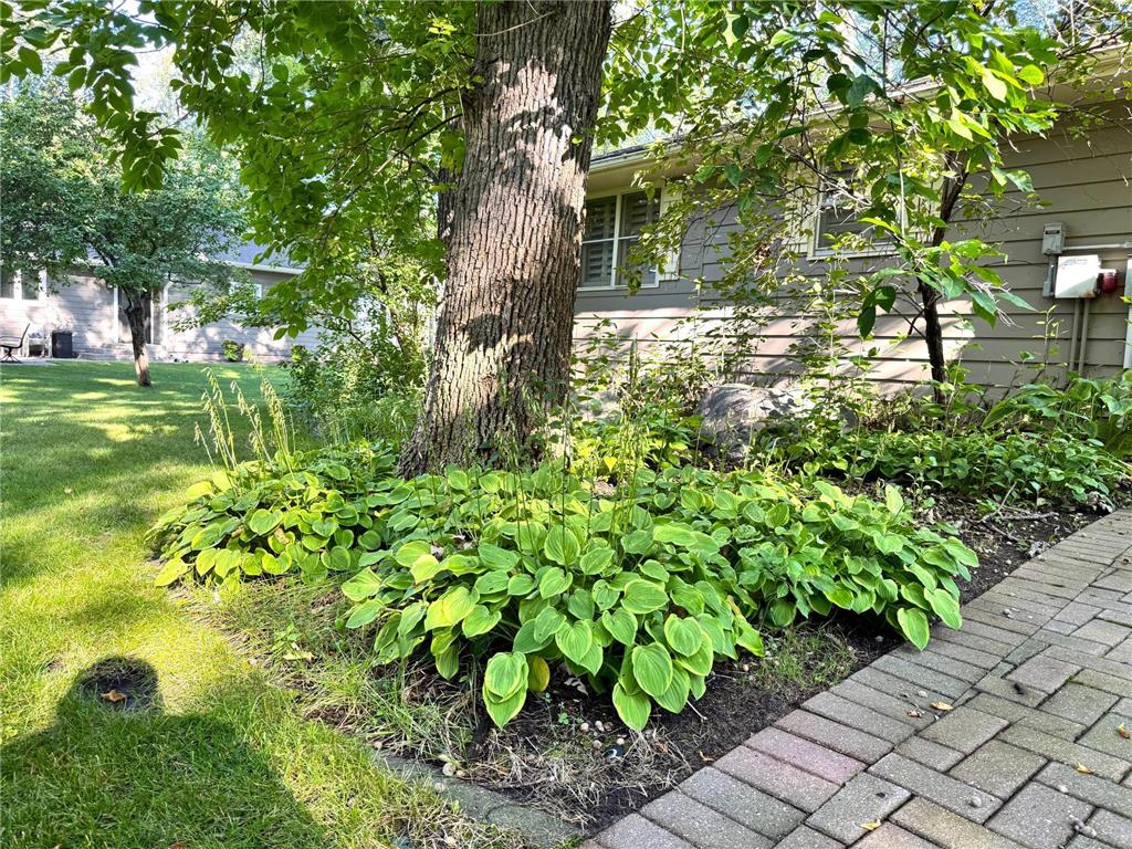 38675 Wagon Trail Loop Battle Lake MN 56515 - Otter Tail 6779236 image12