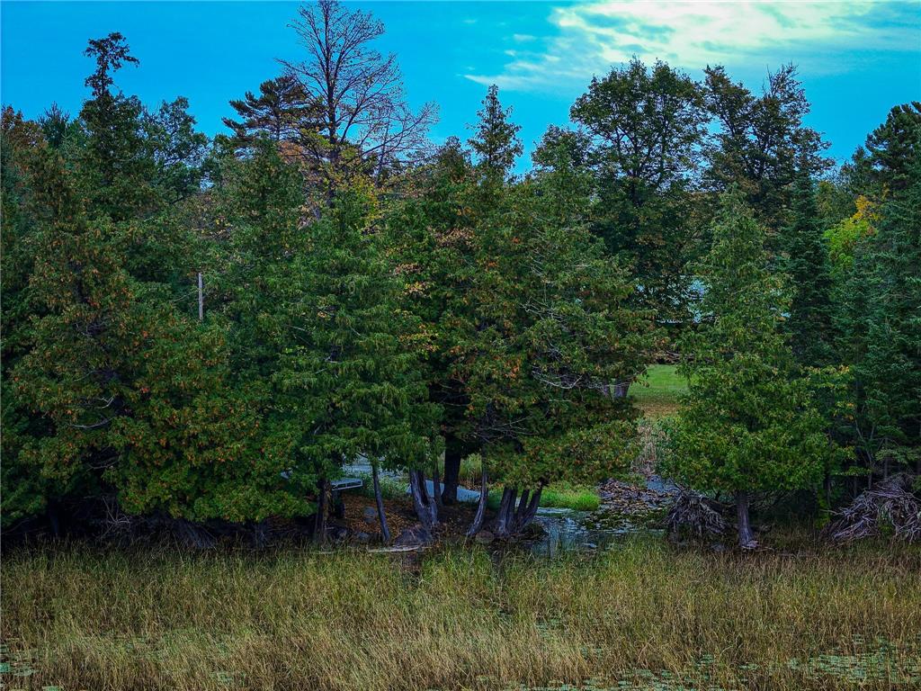 38700 Osprey Trail Laporte MN 56461 - Garfield 7050195 image11