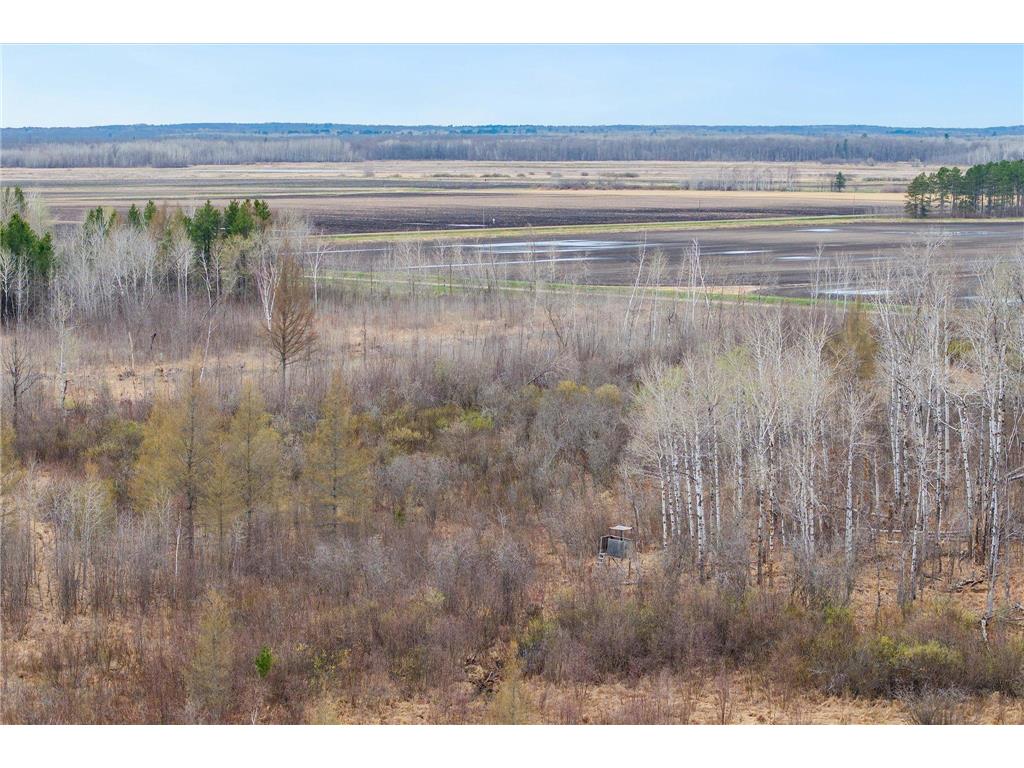 38705 430th Street Morrison Twp MN 56431 7064949 image32